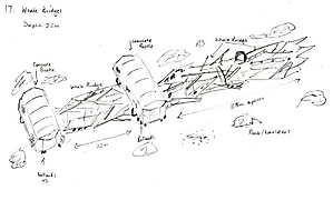 Whale Bridge Sketch