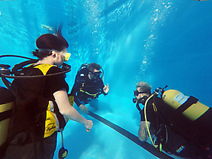 Ocean Diver course (2021)
