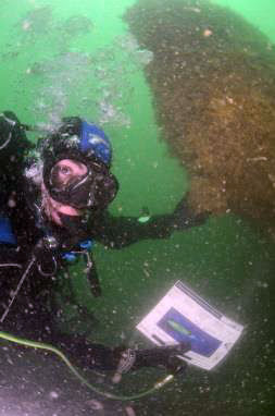 Diver at the Bow